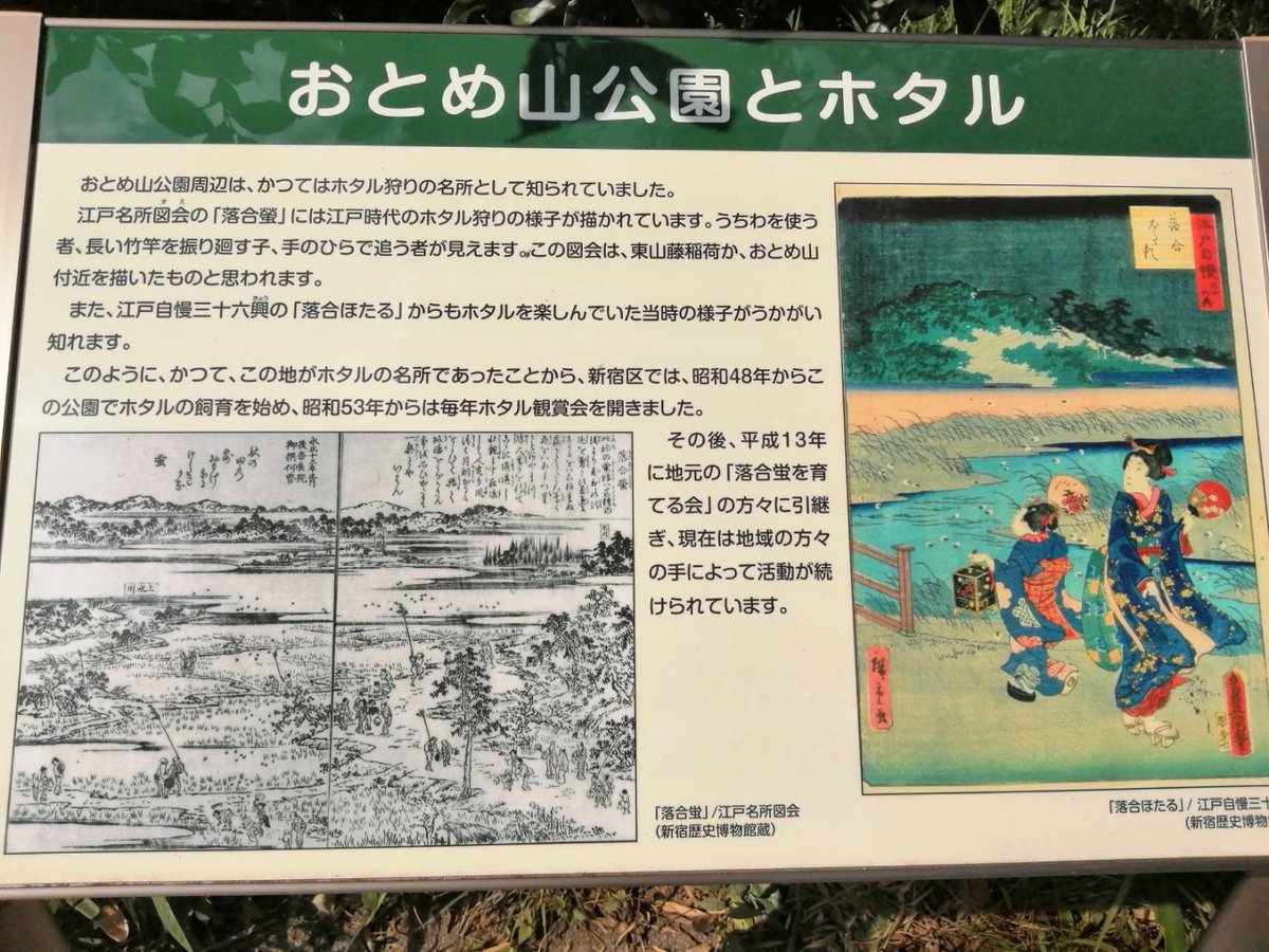 東京カートグラフィック A Twitteren 小林です 新宿区にあるホタルの見える おとめ山公園 江戸時代将軍の鷹狩などもおこなわれた名勝 新宿区でホタルが見られるなんて でも今年は中止みたいです 東京カートグラフィック A Twitteren 小林です 新宿区にあるホタルの見える おとめ山公園 江戸時代将軍の鷹狩などもおこなわれた名勝 新宿区でホタルが見られるなんて でも今年は中止みたいです
