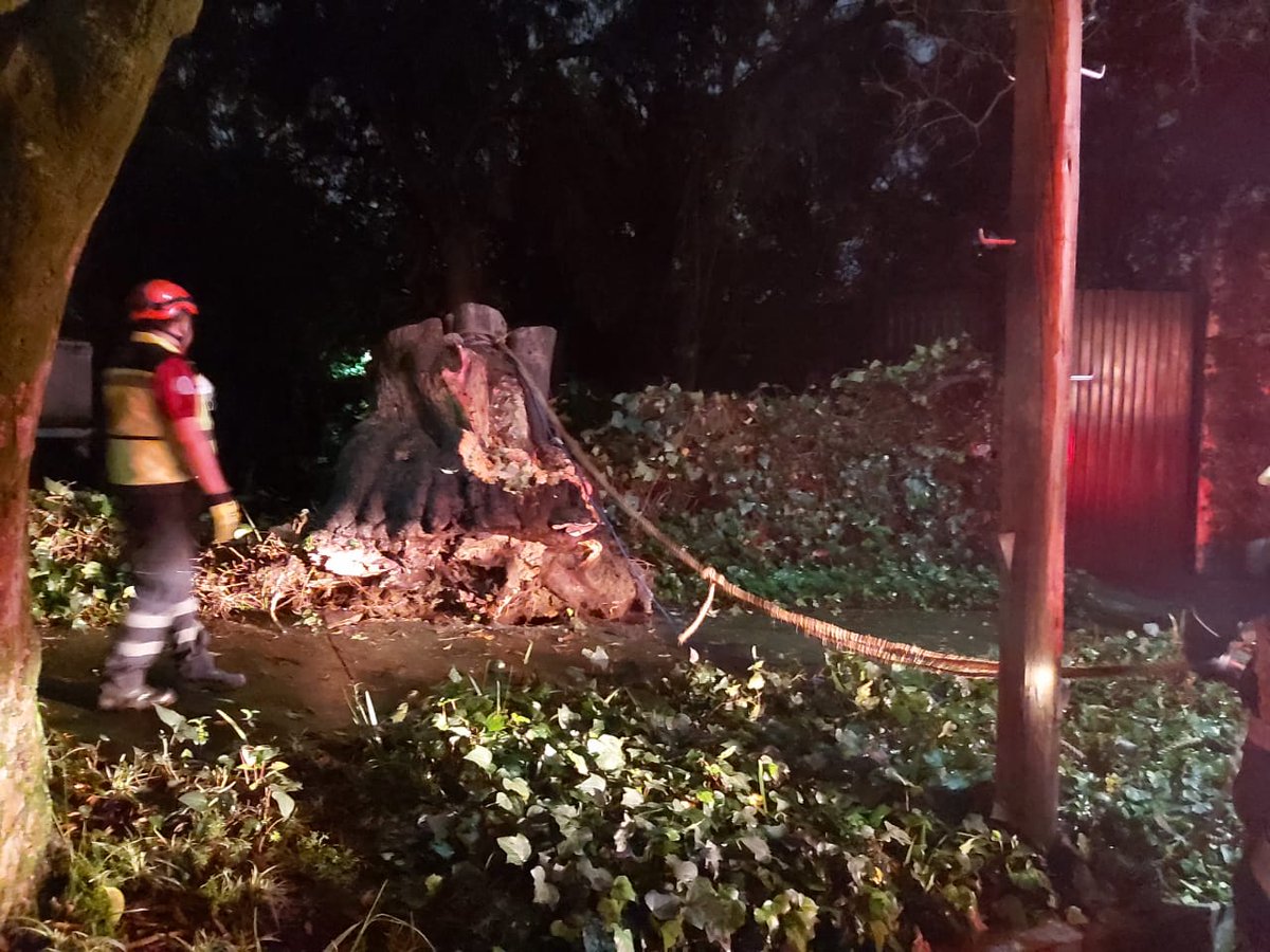MHDEProtCivil's tweet photo. Protección Civil de @AlcaldiaMHmx acudió a la calle de Sierra Negra colonia #LomasDeChapultpec por reporte de árbol caído desde su raíz de 15 mts de altura por 1 mt de diámetro.
Se contó con el apoyo de @Bomberos_CDMX para su troceo.
#MHResiliente
#MHelCorazónDeLaCapital https://t.co/PsoKJq9e4I