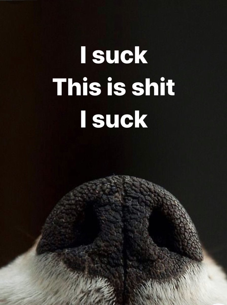 lorris_stories's tweet photo. #SCBWISummerSpec #writerslife #SCBWIHowDoYouMeme https://t.co/hFuxrFN1wu