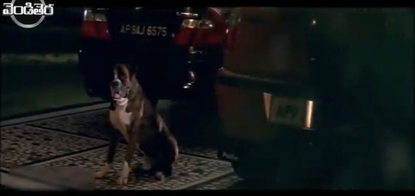 CinemaMadness24's tweet photo. #GuessTheMovieName #Pic22 😎 https://t.co/UM0rv6RuaL