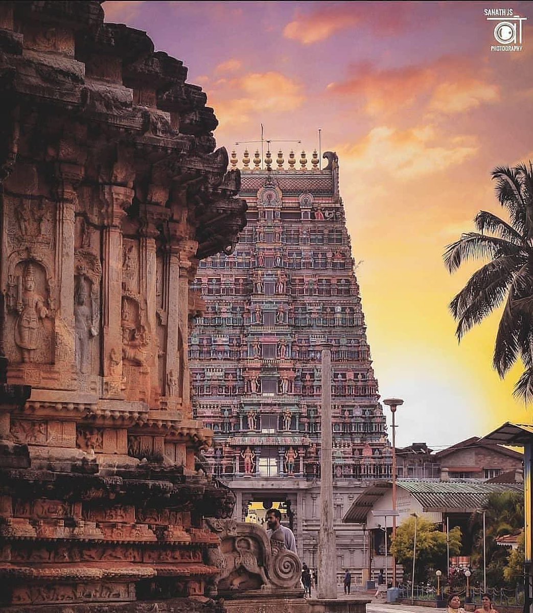   #Thread Amazing Zodiac Pillars of 14th Century Vidyashankara Temple – Sringeri Sri Jagadguru Shankaracharya Mahasamsthanam, Dakshinamnaya Sharada Peetham Founded by Adi Guru Shankaracharya, in "Sringeri", Karnataka 1/3  @davidfrawleyved  @RadharamnDas  @chitranayal09