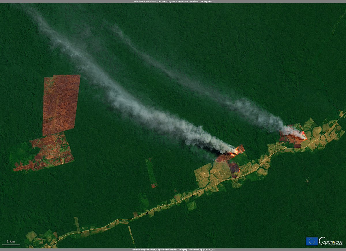 defis_eu's tweet photo. #ImageOfTheDay #Deforestation #Amazon #ClimateAction
Fires🔥in #Brazil's Amazon #rainforest 🌳have surged by 28% in July 2020, compared to July 2019
This #Sentinel2🇪🇺🛰️ image acquired on 31 July shows two fires and a >25 km2 burn scar, 150 km Northeast of Apui’, Amazonas State 🇧🇷 https://t.co/IdfgN6Shgt