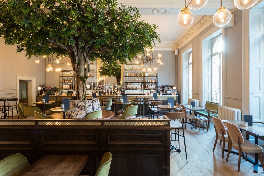 iwantplants's tweet photo. Lost &amp; Found in Leeds wanted a 4m x 4m tree with no attachments to be made to the wall or floor due to the grade listing of the building.  We had a framework made which we then dressed with wood to make the trunk and over 700 Birch stems. #iwantplants #custommadetree #featuretree https://t.co/4FQTb4vLJL