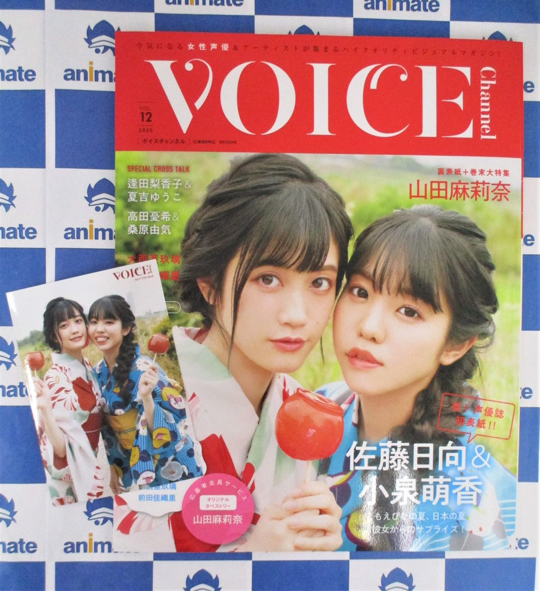 電話予約受付中 アニメイト秋葉原本館 Pa Twitter 雑誌情報 Voice Channel Vol 12 地下にて好評発売中 表紙 巻頭特集は 佐藤日向 さん 小泉萌香 さん アニメイト特典 にお2人のポスター ブロマイドと 山田麻莉奈 さんのスペシャルボイスメッセージ