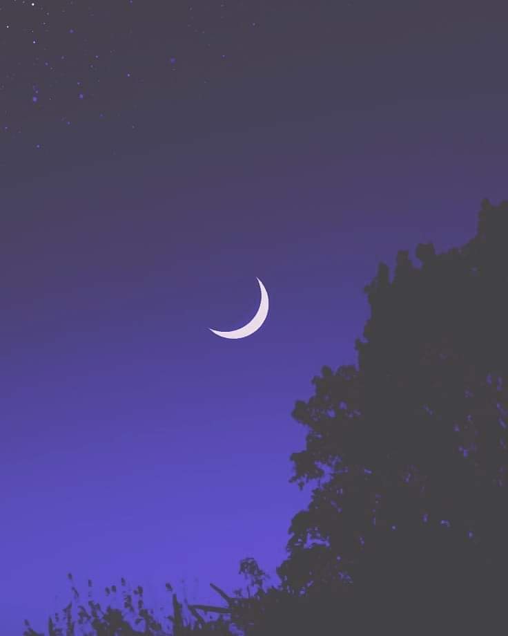 OsamaTweets_'s tweet photo. Remember me when you look at the Moon 🌛 https://t.co/Nu5bCySFXy