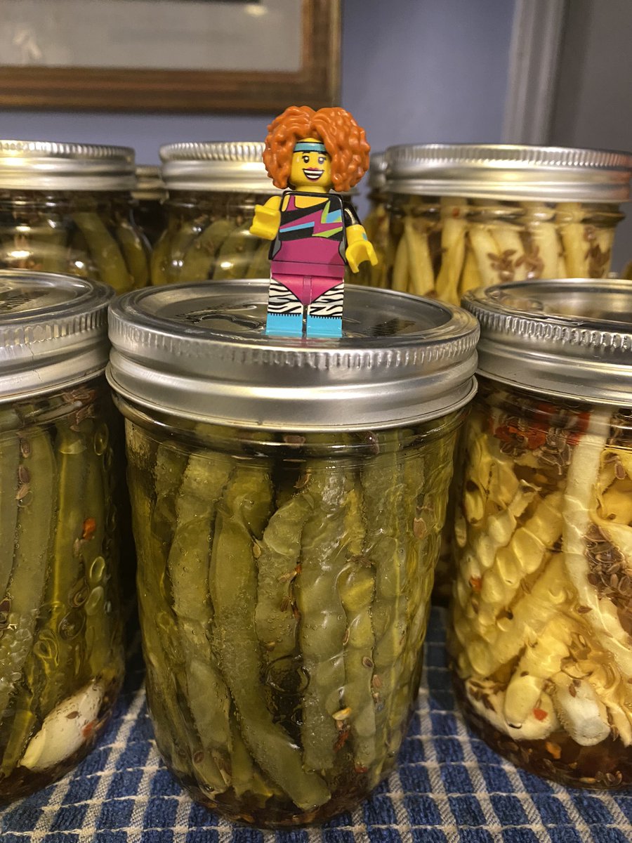 mmmelia's tweet photo. It’s bean quite a workout in the kitchen! #dillybeans #becauseican #preservetheharvest #legominifigures https://t.co/wc67smelXc