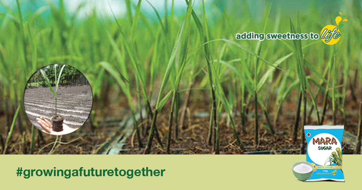 Farming requires a lot of hard work and science to provide what the soil and crops need to flourish. Advancements in technologies have moved farming to a prescriptive science with some of the most recent improvements.