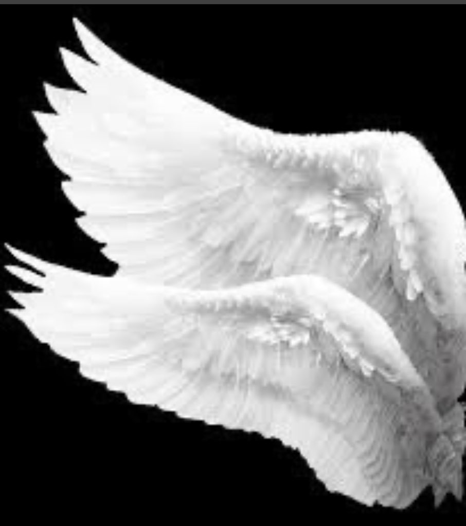 ShiBlock's tweet image. 