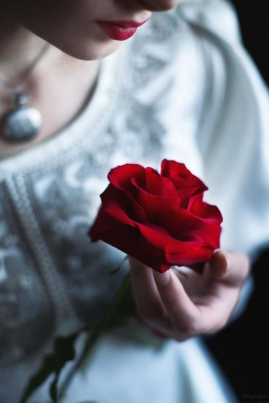 gregoriaquintero tweet media