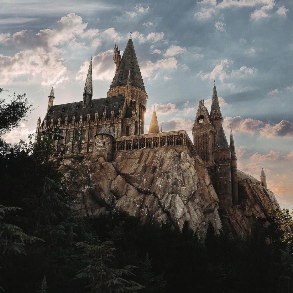 ¿A qué casa de Hogwarts sienten que pertenecerían? /// Which Hogwarts house do you feel like you'd belong to?...