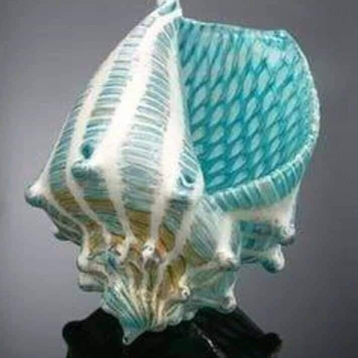 Michele66110842's tweet photo. Just love π these amazing stunning beautiful colorful seashell so much ππ #seashellcollection https://t.co/H9X1Tq34qU