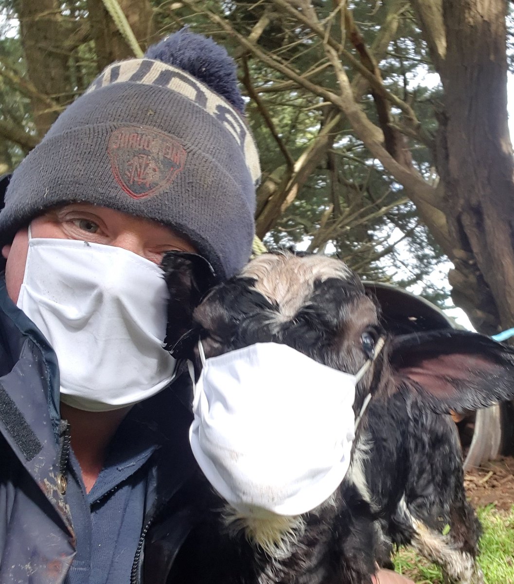 derryvale's tweet photo. This mask things only going to work if we're all on board! #MasksOnFarm https://t.co/LLvCsZ4cxn