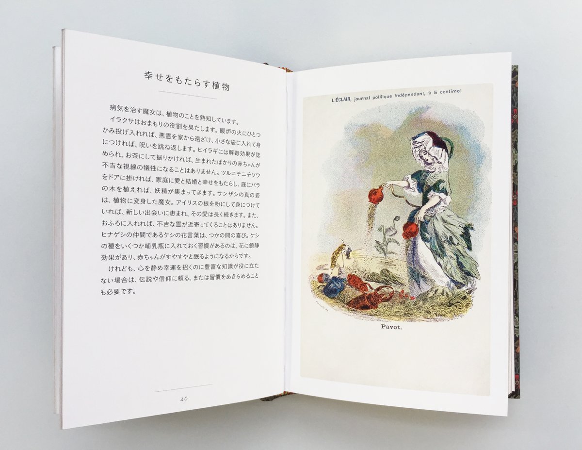 グラフィック社 編集部 国際部 近刊紹介 8 11頃 発売開始 ちいさな手のひら事典 魔女 人気シリーズ最新刊は 魔女 がテーマ 魔法や悪魔との関わりや ときに歴史をも動かした魔女の様々なエピソードを レトロで可愛いクロモカードの絵柄