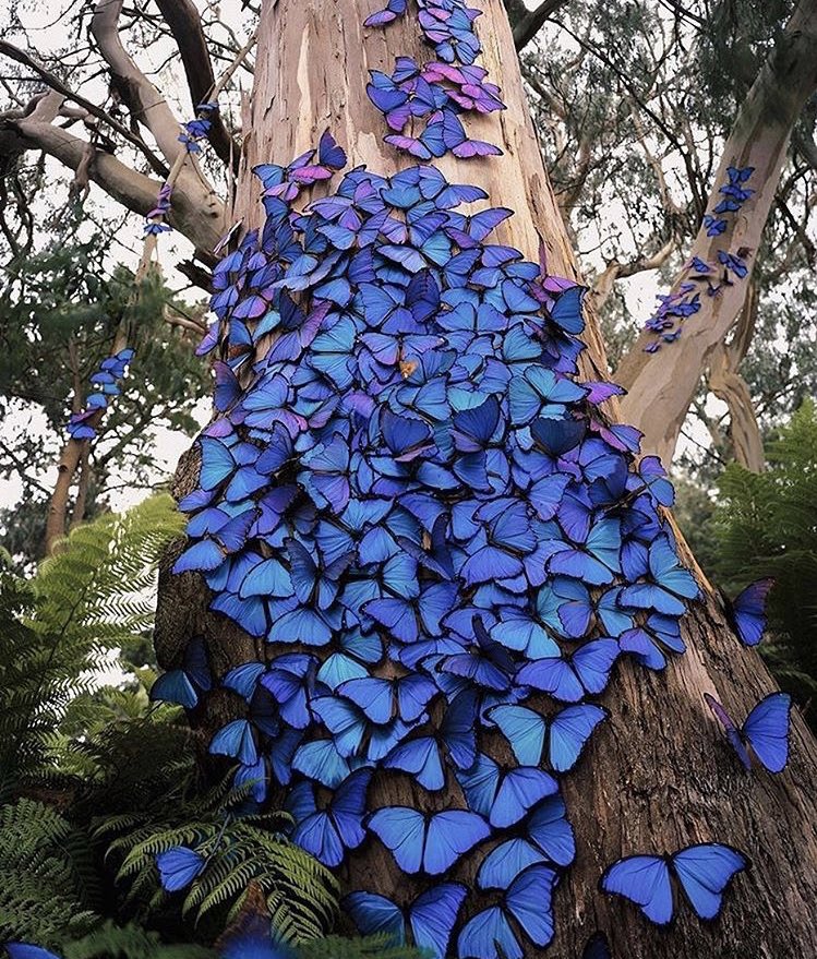 배속이 간질간질~