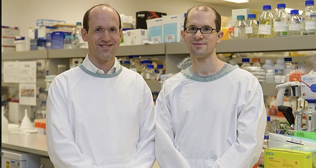 Researchers reverse memory decline in mice in 'ground-breaking' Alzheimer's trial agedcareinsite.com.au/2020/08/resear…
