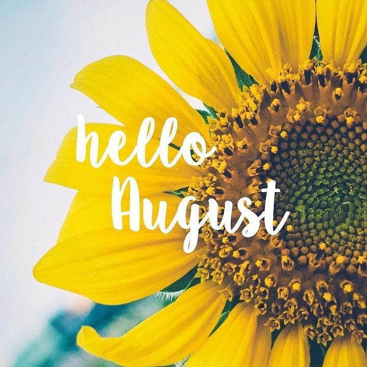 LBGEnterprise's tweet photo. Hello August! So... what are you focused on this month?
#focus #drive #goals #goalsetting #smartgoals #Dreamcatcher #lbge #LyndaBeGoodENTERPRISE https://t.co/sS4Ehg71dK