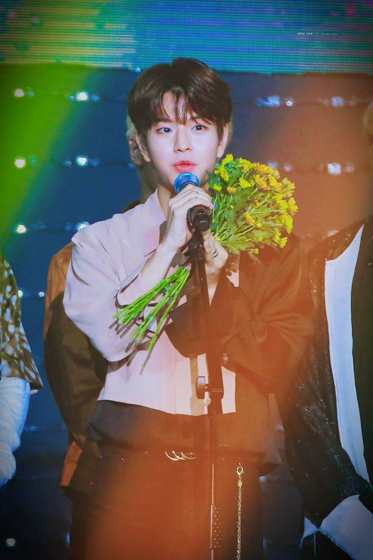 kim seungmin with flowers, a much needed thread. #승민  #StrayKids    #스트레이키즈  