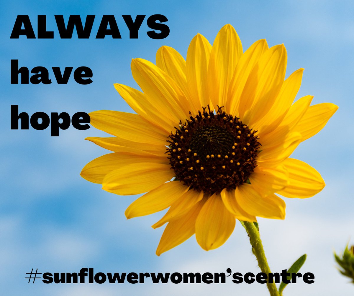 CrewesLaura's tweet photo. Sunflower’s thought for your day.. https://t.co/KN7XjFAwa8