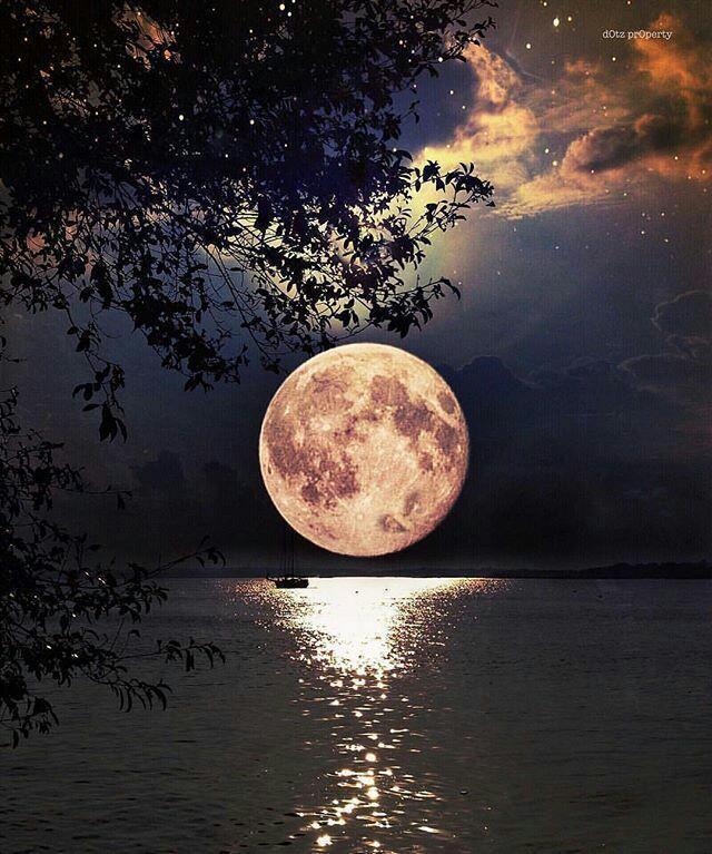 arash64171's tweet photo. تایم لاین بخاطر ماه تیر اگوست 100% https://t.co/XRbM1DNhYD