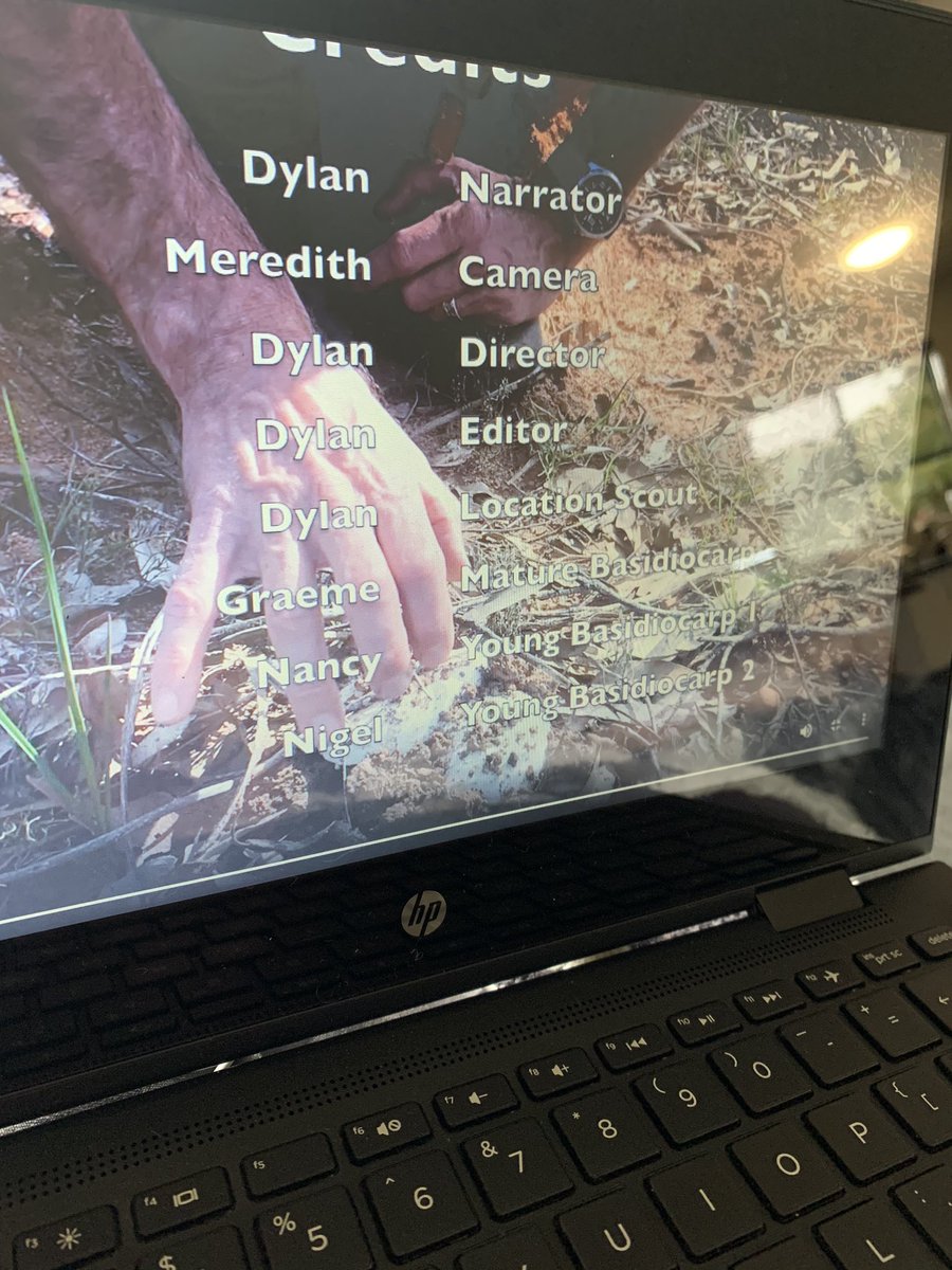 My Fungi Ecology professor is making home movies of cool fungi he finds near his house and he casts and names the fungi as cohosts 😂 #fungi #ScienceTwitter