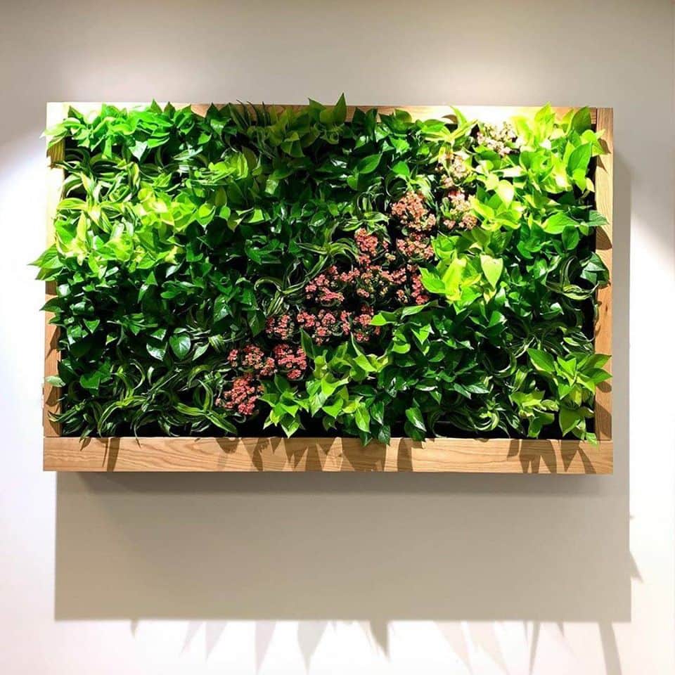 TruservIn's tweet image. Vertical Garden, Functional furniture, garden design. All Custom built to complement your space.

Contact us for a consultation on 72-900-42-900. High quality work is a call away....
#Vocal4Local
#GreenindiaChallenge