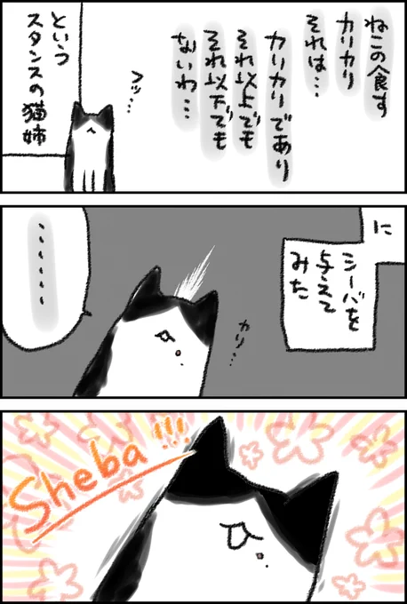 食のよろこびを突然バッターーーーーンと開いたかんじ
ほかのカリカリもちゃんと食べようね…歯磨きもしようね… 