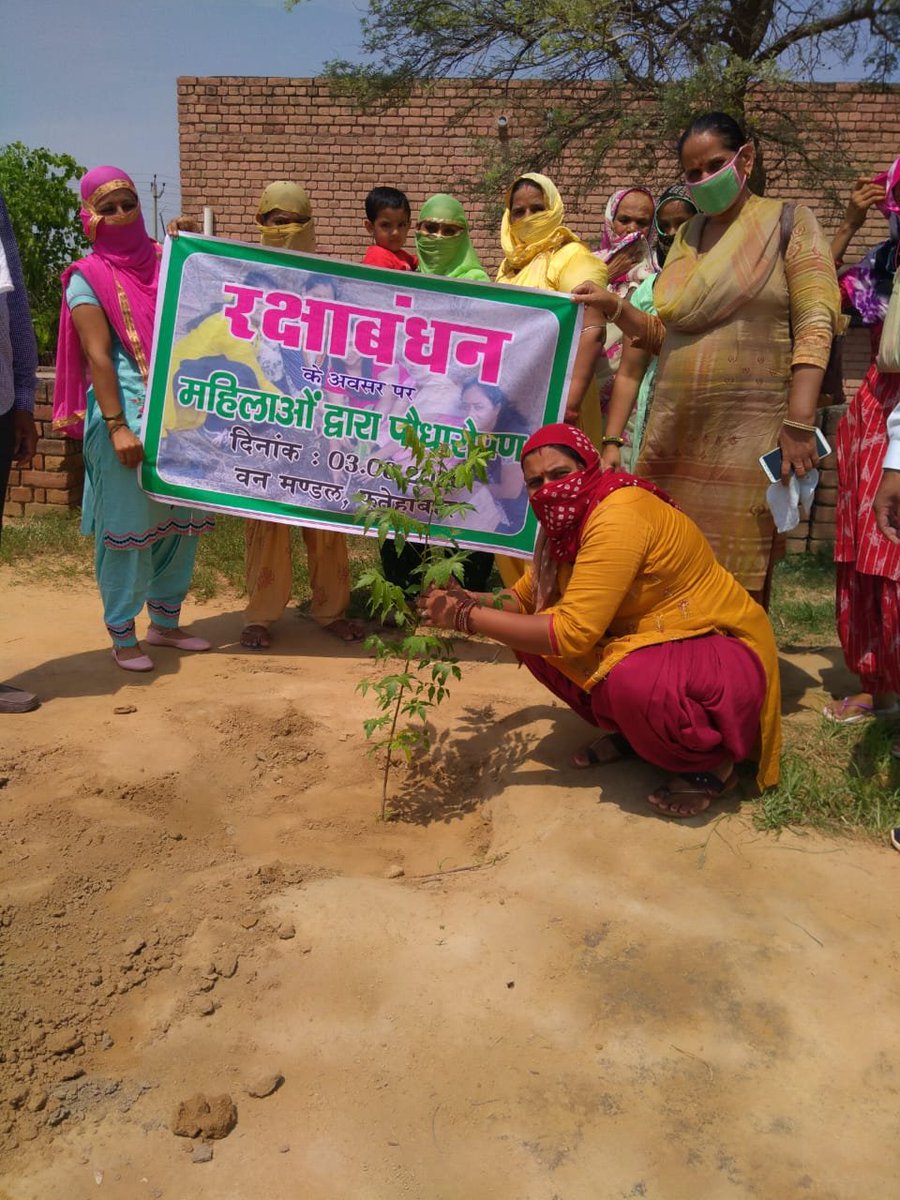 Rakshabandhan celebration by Women Self Help Groups in Haryana