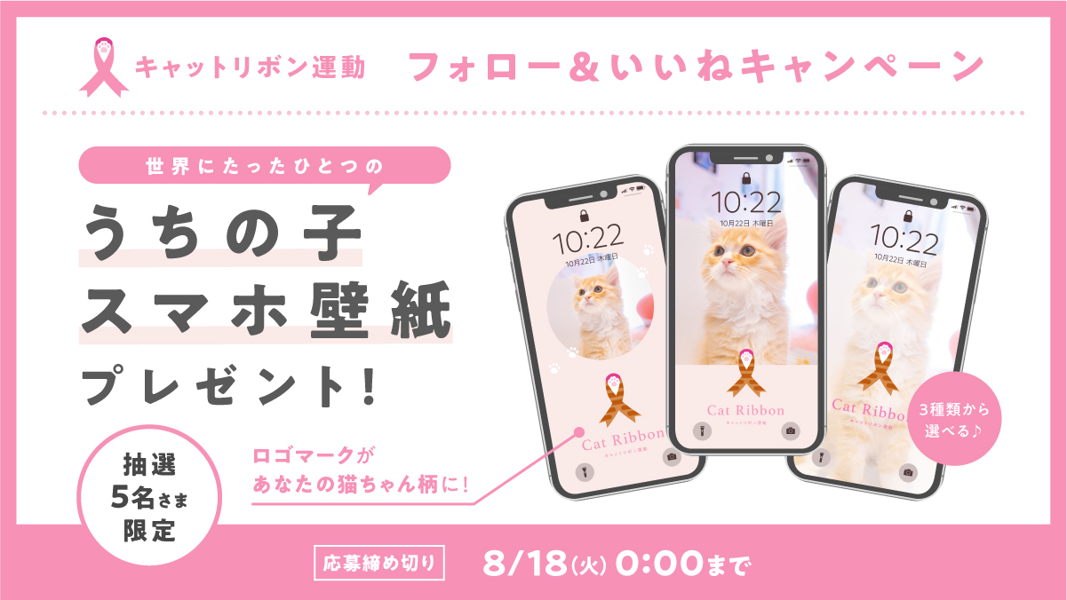 キャットリボン運動 公式 キャットリボン運動 フォロー いいね キャンペーン 当アカウントをフォロー 告知ツイートをいいねしてくださった方の中から抽選で5名さまに うちの子スマホ壁紙 をプレゼントいたします なんとキャットリボン運動