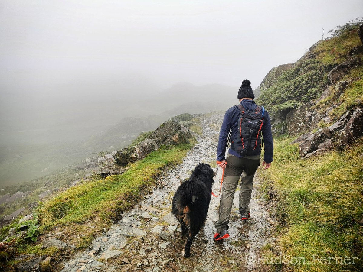 I only have eyes for you 😍🐾 #lakedistrict #coniston #conistonoldman