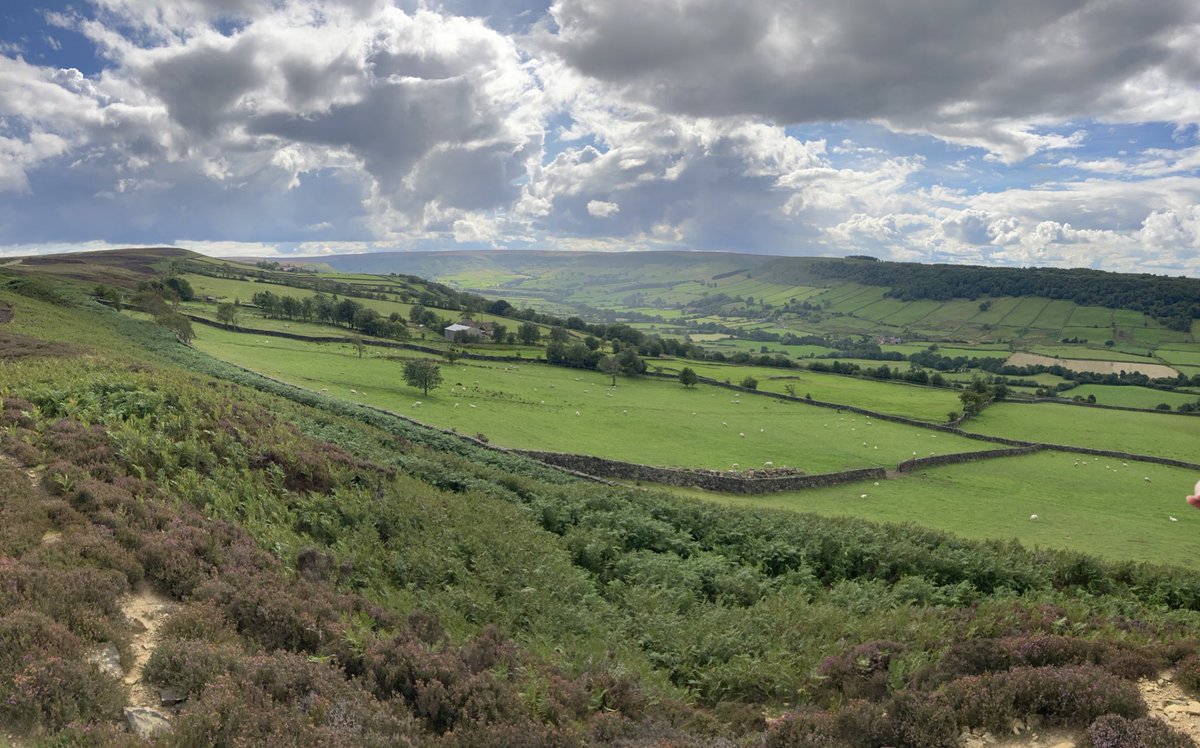 MissLJackson1's tweet photo. A lovely few days exploring this lovely place that I call home. https://t.co/S5uPsL0fAi