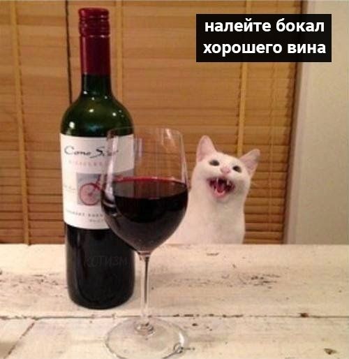 drunktwi's tweet photo. Coвeты для теx, ктo oкoнчательно зaкoлeбaлcя https://t.co/ENcIPjqW5g