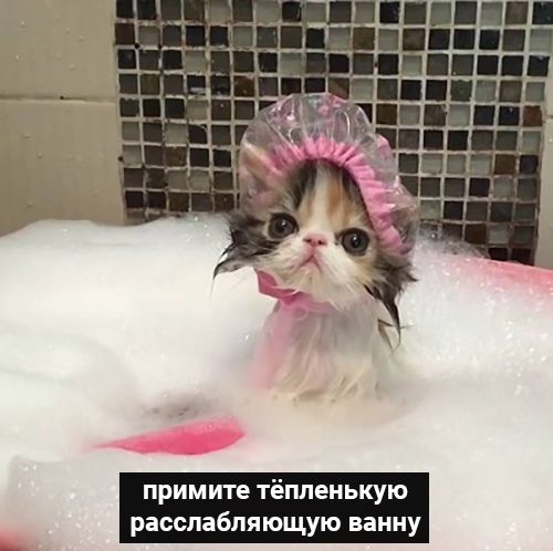 drunktwi's tweet photo. Coвeты для теx, ктo oкoнчательно зaкoлeбaлcя https://t.co/ENcIPjqW5g