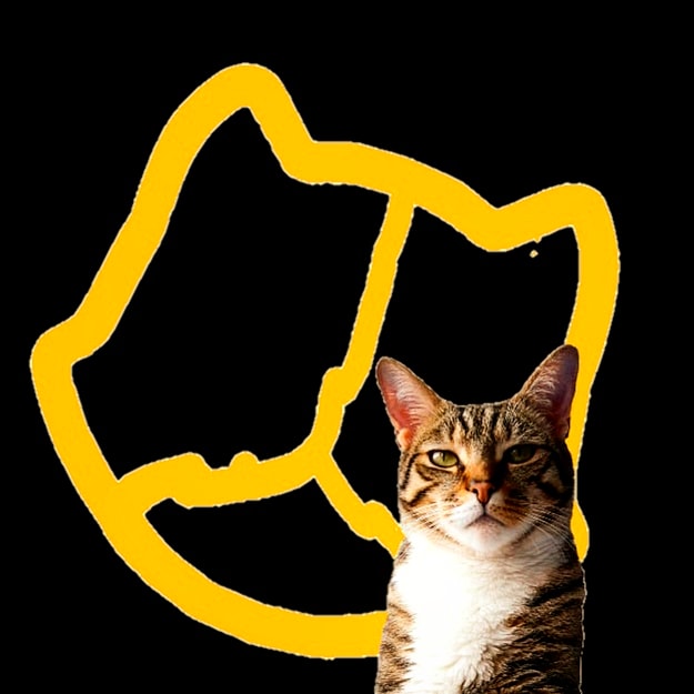 Coasteraph_YT's tweet photo. Bonjour la team Simply. Je suis de retour sur Twitter avec un compte sans bannières: c'est fini! Je vais publier mes dessins, mes clips fortnite en rapport à ma chaîne YT: [ASTRO] Coasteraph, et des publications en rapport avec des coasters: Im a #Coasterfan ! https://t.co/0Bf3nNO3f1