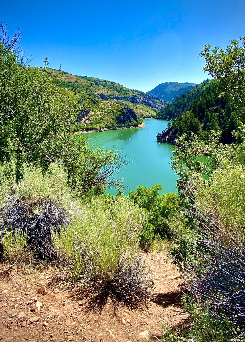 DawneneW's tweet photo. When Life Overwhelms Where Do You Go To Escape?                    #rockymountains #causey #nature #naturelovers #Escape #summerintothewoods #dogdaysofsummer https://t.co/gKPPFP86UL