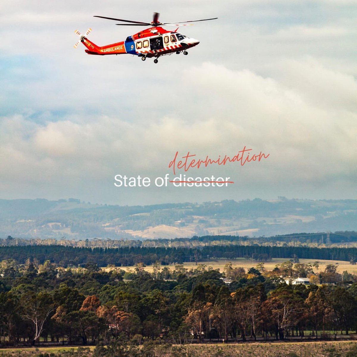 AmbulanceVic's tweet photo. There’s a real wombat stew of emotions bubbling away for Victorians at the moment- with lashings of worry, frustration and disappointment in the mix. 

May we all have strong helpings of determination, resolve and hope too. 

We can do this. https://t.co/ub579myihX