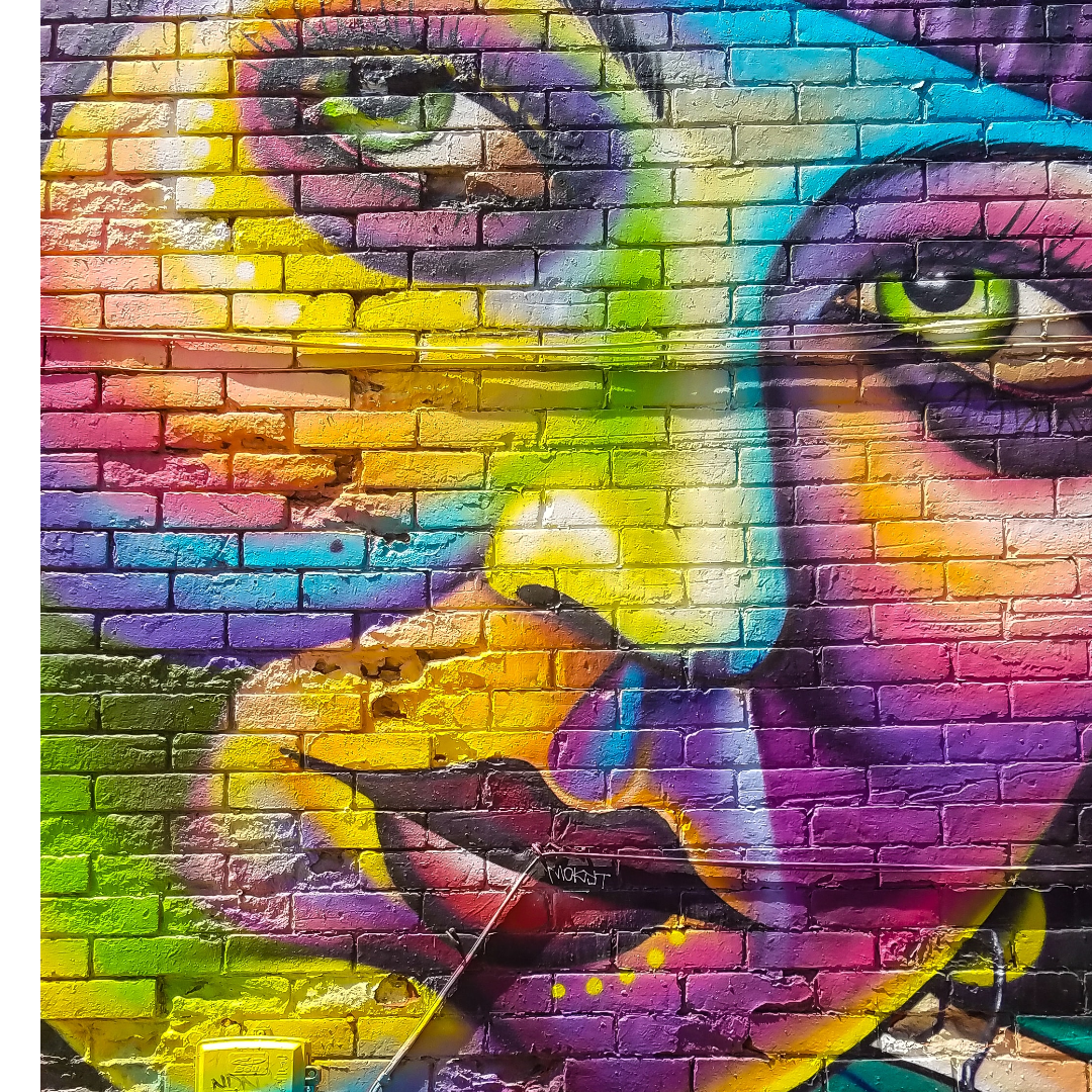 OvalProductions's tweet photo. There is beauty all around us. Finding the beauty in who you are is one of the most important things you can do for yourself. 

Here, at Oval, it is our job to introduce you to the very best version of yourself. If you are interested in doing one of our workshops - get in touch. https://t.co/d9v9D08Cbm