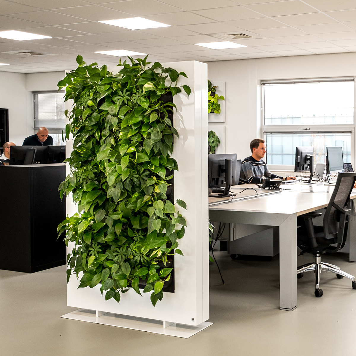 HwSocial's tweet photo. HW-LiveDivider  Un sistema per verde verticale semplice e flessibile, pensato per la divisione degli spazi di lavoro. 

Scopri di più https://t.co/xPHJpqq6GS ➡️🌏 https://t.co/LwkT6tg9Ud