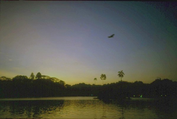 kawakamitakeru's tweet photo. https://t.co/14Z86saSRu #KandyLake #SriLanka https://t.co/UTQCu12M0P