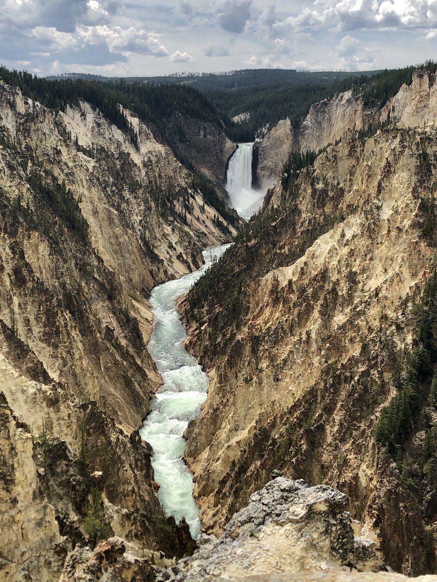 1/ JUST BACK from an amazing  #roadtrip across my beautiful native state. Here’s  #YellowstoneFalls from Artist’s Point—yep, this is real.Next—warning, I’ll post photos of historically important firearms at Buffalo Bill Museum in Cody,  #Wyoming to illustrate 2 points about tech.