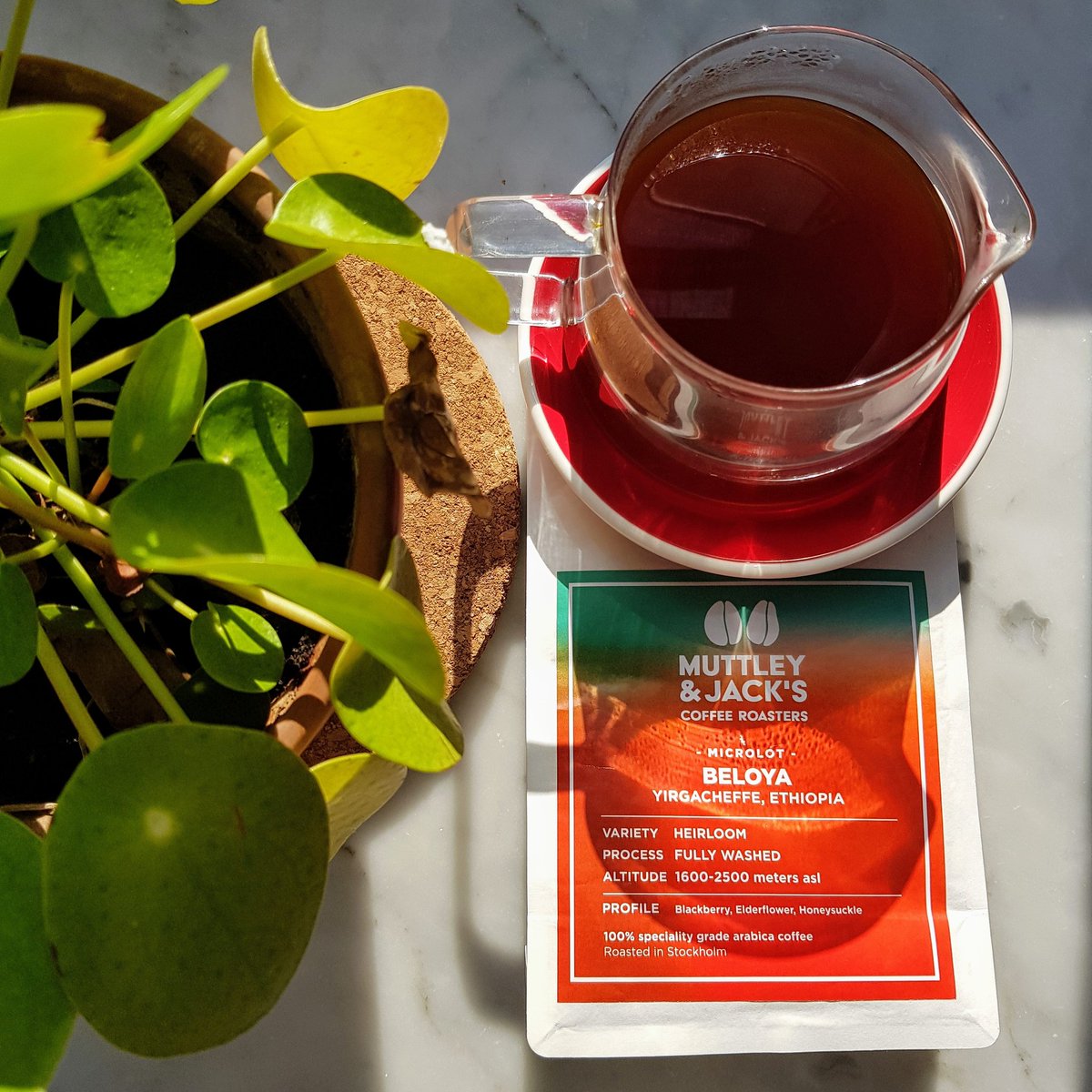 beanthereat's tweet photo. Nearly finished the first of three Yirgacheffe 🇪🇹 coffees we got from the epic @muttleyandjack . This 'beloya' is filled with summer vibes. 😍 https://t.co/DzWevdpD09
