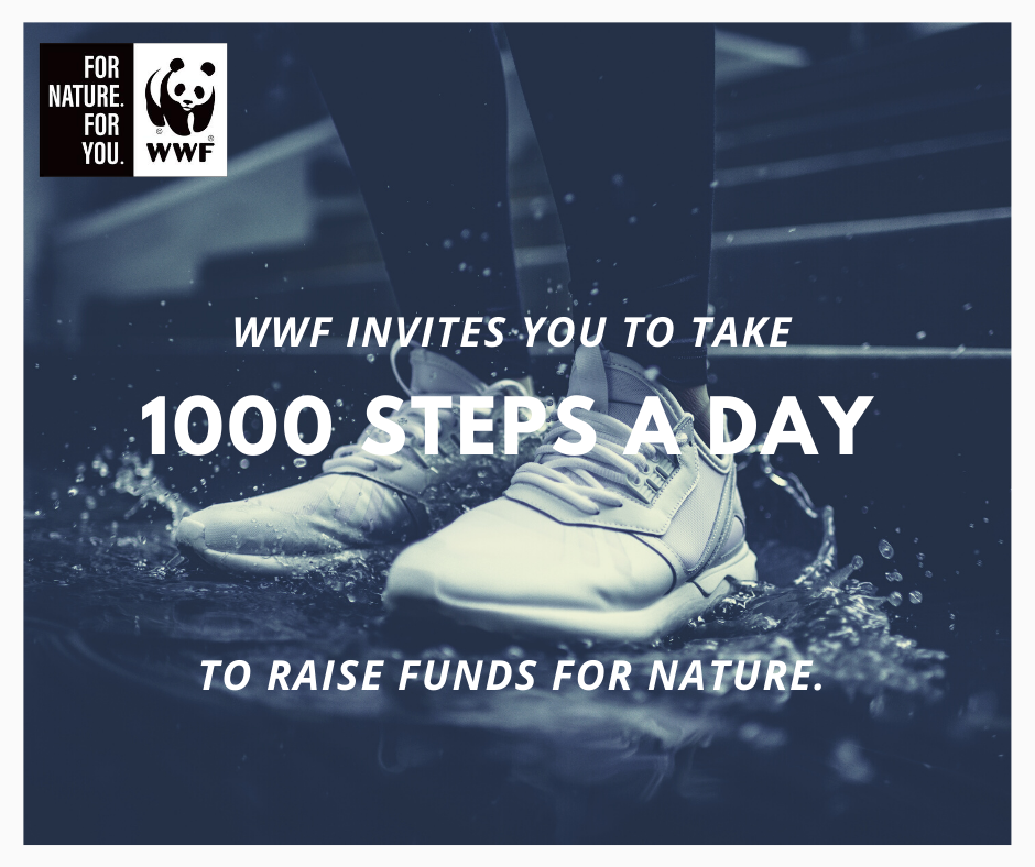 WWFSouthAfrica's tweet photo. Use your influence to help @WWFSA by taking #1000StepsForNature https://t.co/jVNj65iDrl

 #ForNatureForYou https://t.co/v7e1gTOmMH