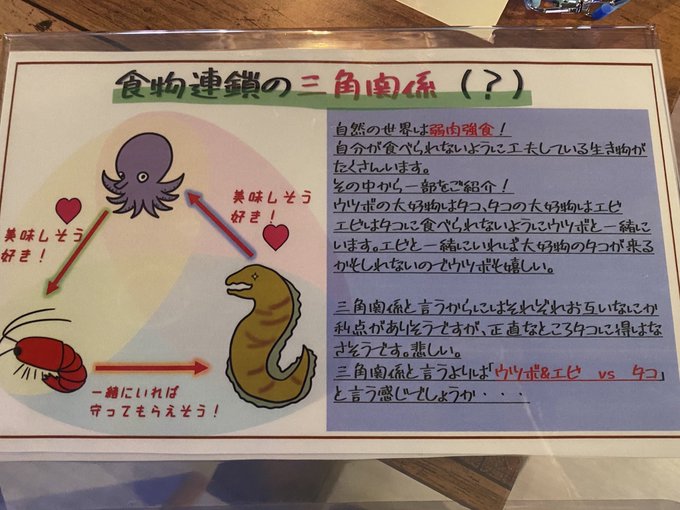 ウツボ 高画質 のtwitterイラスト検索結果 古い順 ウツボ 高画質 のtwitterイラスト検索結果 古い順