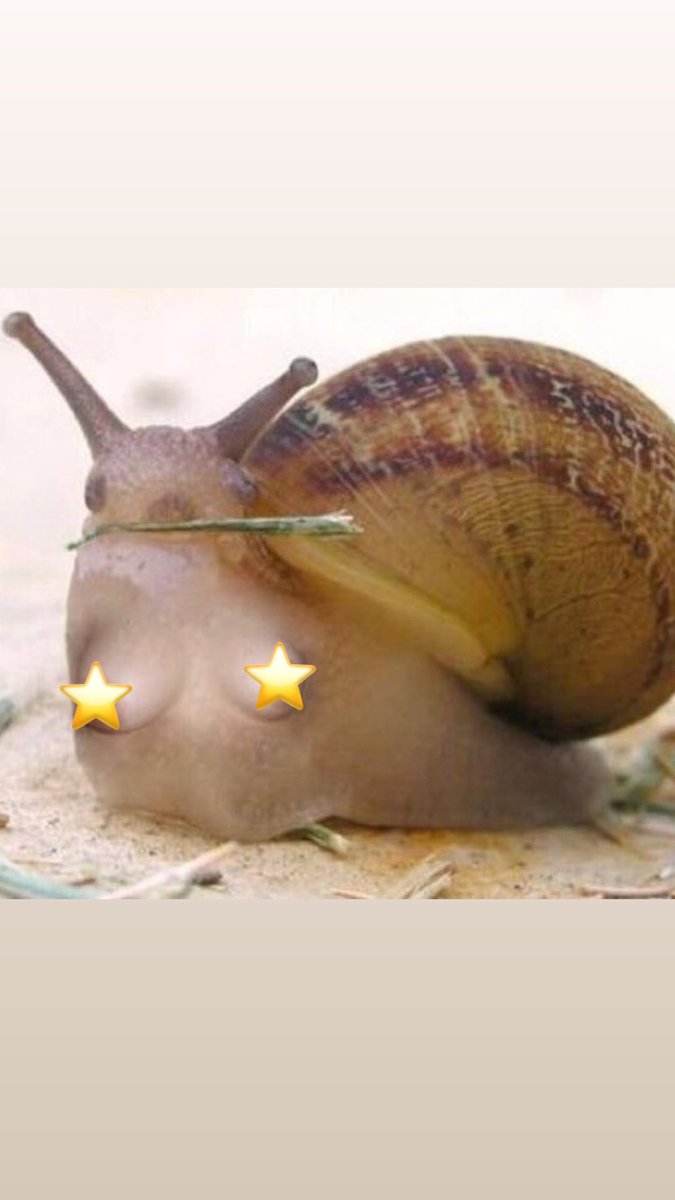 Here we have a non-binary snail. This snail is known for their shocking tale of censorship by the media. Having two stars placed upon their nipples in order to please men which shook the entire world for many weeks. Gen z is notable for their disregard of censorship. Ty snail