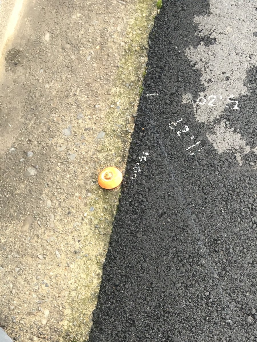 にんじんだった、、