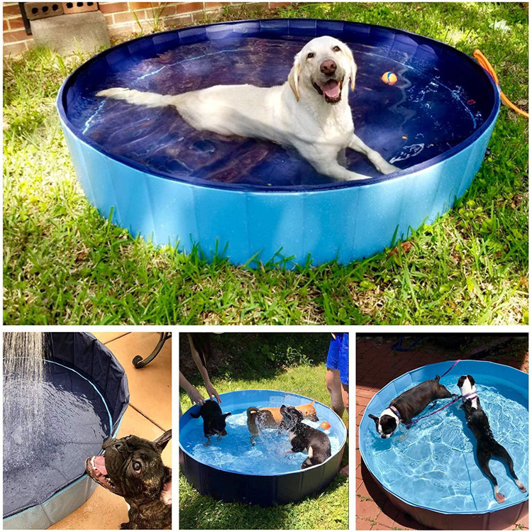 PVCtarpPEtarp's tweet image. #petpool #petswimmingpool #portablepetpool #petbathpool #foldablepetpool #petpoolfloat
#dogpoolswimming #swimmingpoolfordog
#dogpaddlingpool #foldingdogpool #pvcdogpool green-poly.en.alibaba.com/productlist.ht…