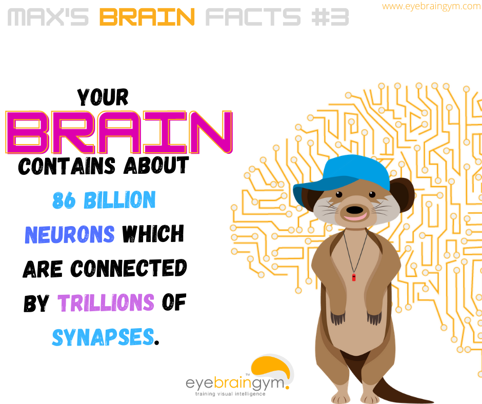 SeymoreMax's tweet photo. Everyone is a Billionaire when it comes to Neurons. https://t.co/49OhdhlkRY