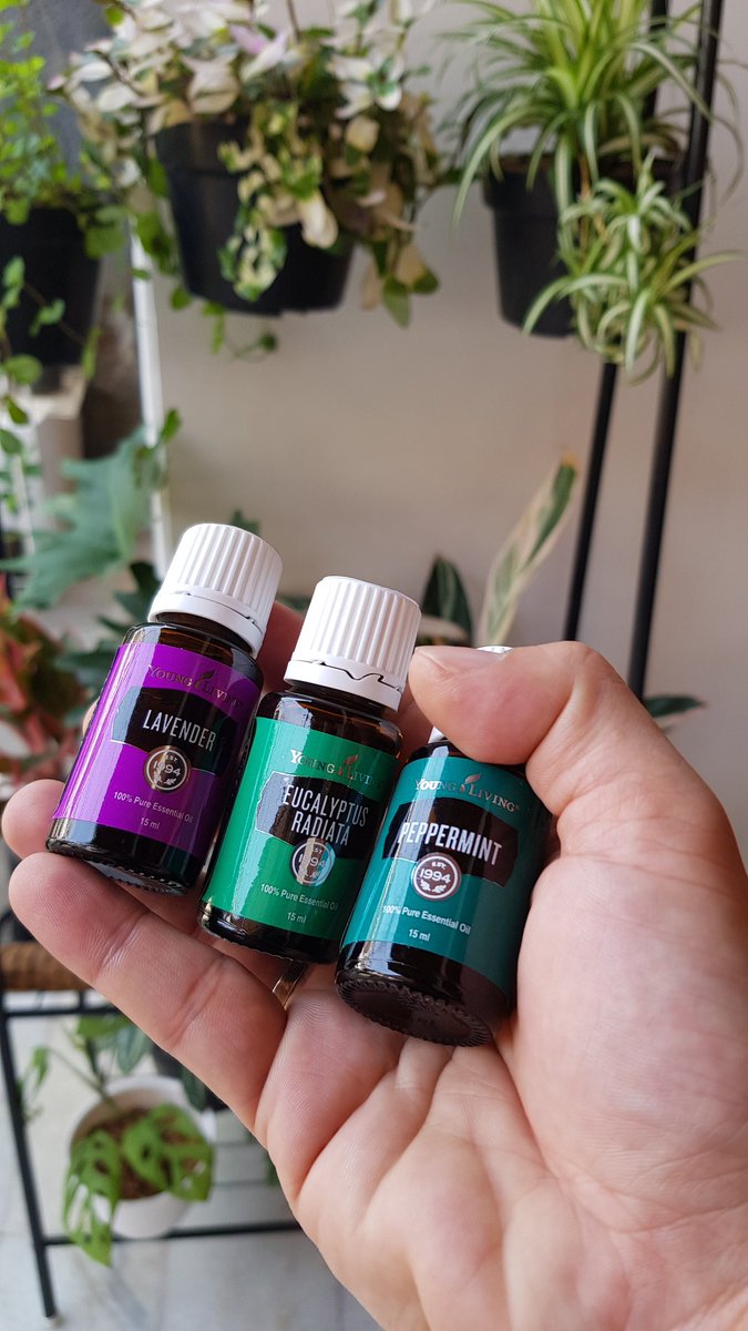 Dikasinya ga cuma 1, 2, tapi 3. Thank you..