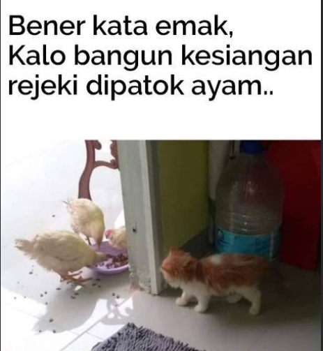onecak's tweet photo. bener kata emak.. https://t.co/lKYfuJzgIq https://t.co/y8qGtC82Xw