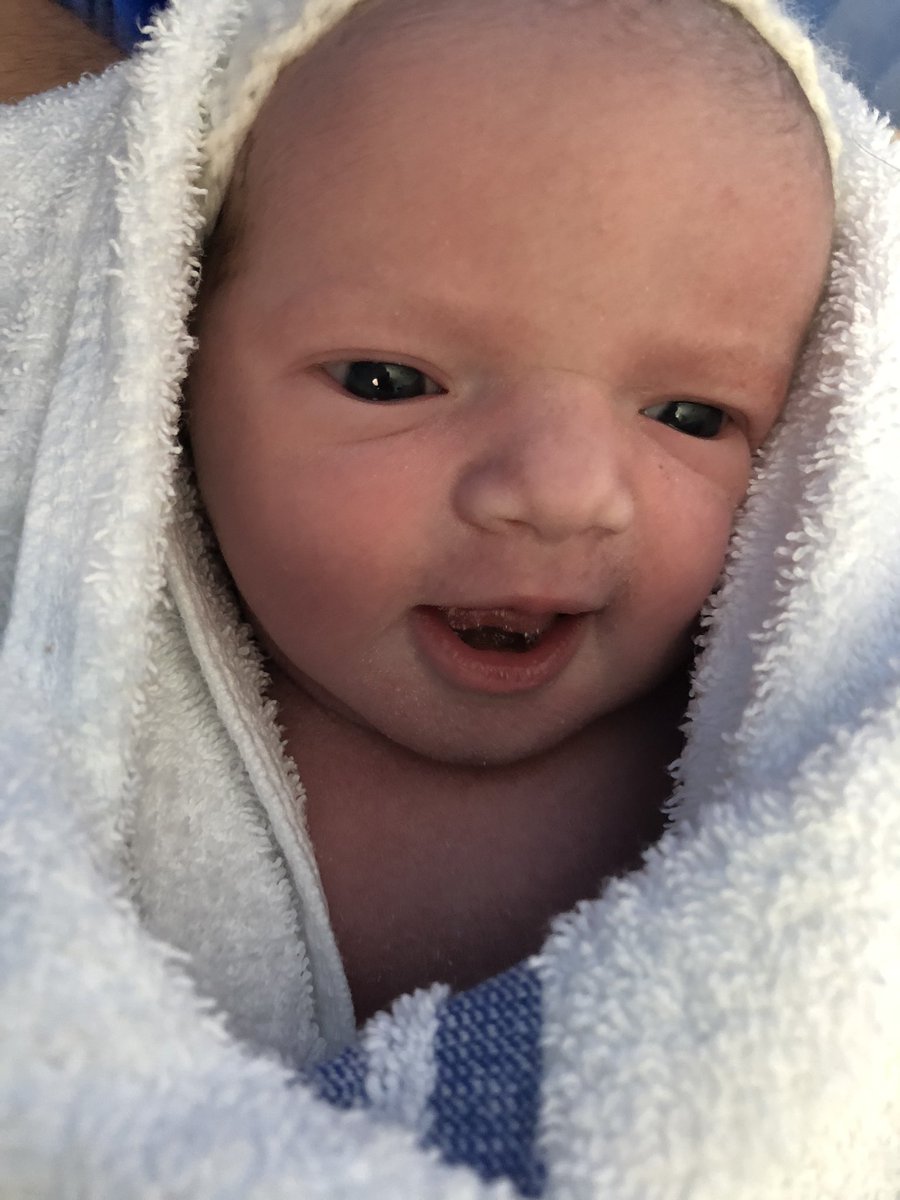 Kathryn Gilbert tweet media