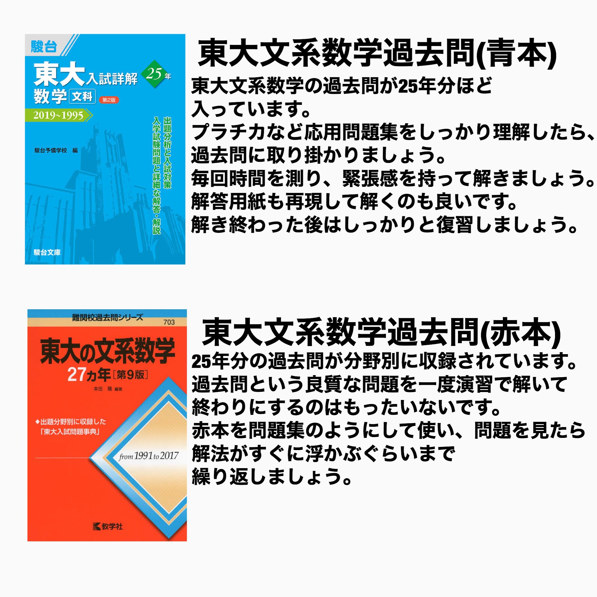 東大世界史入試詳解 程よい 25年 第2版 2019~1995